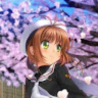 Sakura Chan!