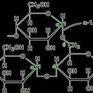 GLYCOGEN